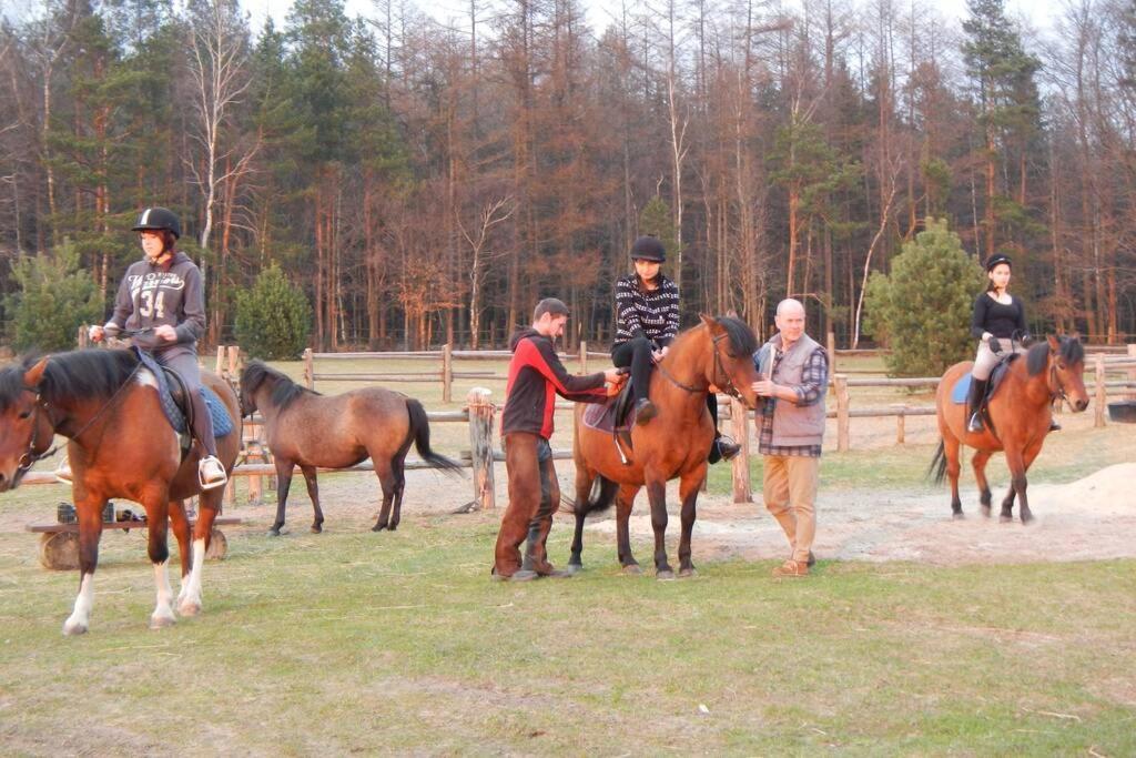 Na Wysokiej Gorce- Agroturystyka Grabowiec  Extérieur photo